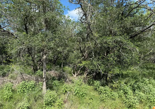Photo 3 of Land for sale at 236 Mokulua Ln, Bastrop, TX 78602 | MLS# 3332884 | Listing updated on 2026-10-05