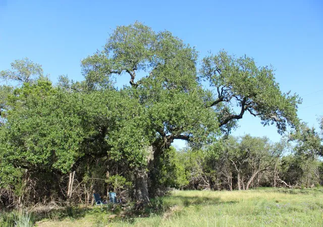 Photo 3 of Land for sale at Lots 56-57 Travis Oaks Dr, Marble Falls, TX 78654 | MLS# 9934967 | Listing updated on 2026-09-15