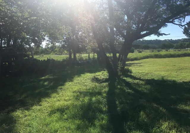Photo 3 of Single family home for sale at 209 Sierra Vista Dr, Gatesville, TX 76528 | MLS# 3029172 | Listing updated on 2026-09-11