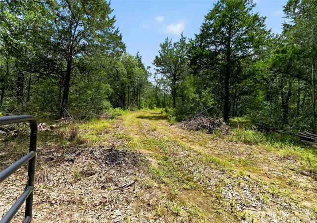 Photo 4 of House for sale at Tbd Gotier Tr Rd, Paige, TX 78659 | MLS# 5303235 | Listing updated on 2026-09-13