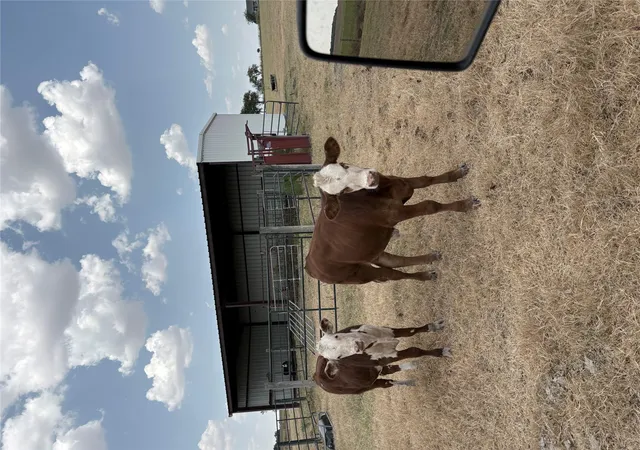 Photo 2 of Land for sale at 600 County Road 444 Land, Thorndale, TX 76577 | MLS# 6925279 | Listing updated on 2026-09-11