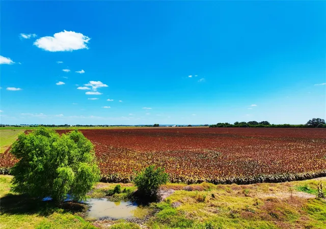 Photo 2 of Land for sale at 0000 Fm 621, Martindale, TX 78655 | MLS# 4329205 | Listing updated on 2026-09-10