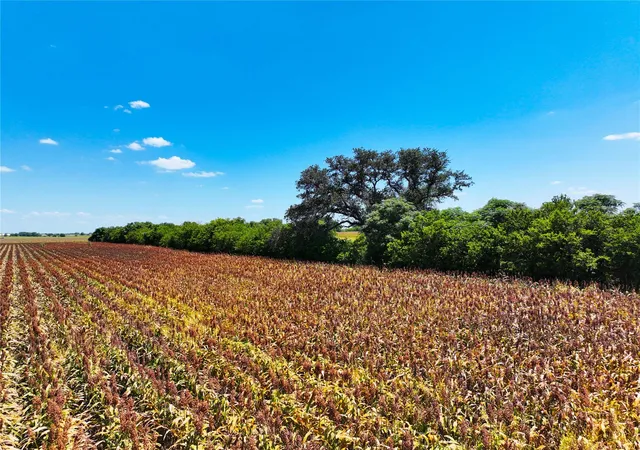 Photo 3 of Land for sale at 0000 Fm 621, Martindale, TX 78655 | MLS# 4329205 | Listing updated on 2026-09-10