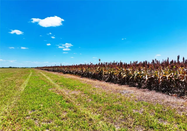 Photo 4 of Land for sale at 0000 Fm 621, Martindale, TX 78655 | MLS# 4329205 | Listing updated on 2026-09-10
