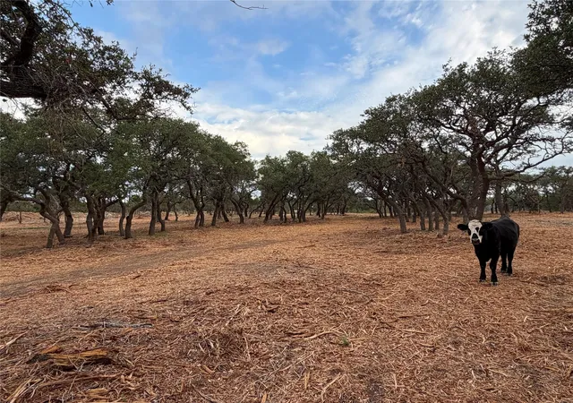Photo 1 of Land for sale at 7257 Cr 252, Bertram, TX 78605 | MLS# 2628268 | Listing updated on 2026-09-10