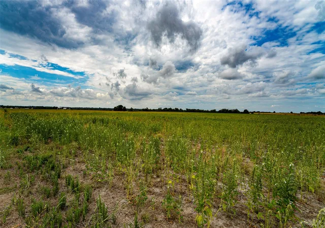 Photo 1 of Land for sale at Tbd Fm 3061 #B, Thorndale, TX 76577 | MLS# 5909438 | Listing updated on 2026-09-09