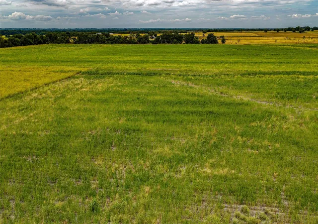 Photo 4 of Land for sale at Tbd Fm 3061 #B, Thorndale, TX 76577 | MLS# 5909438 | Listing updated on 2026-09-09