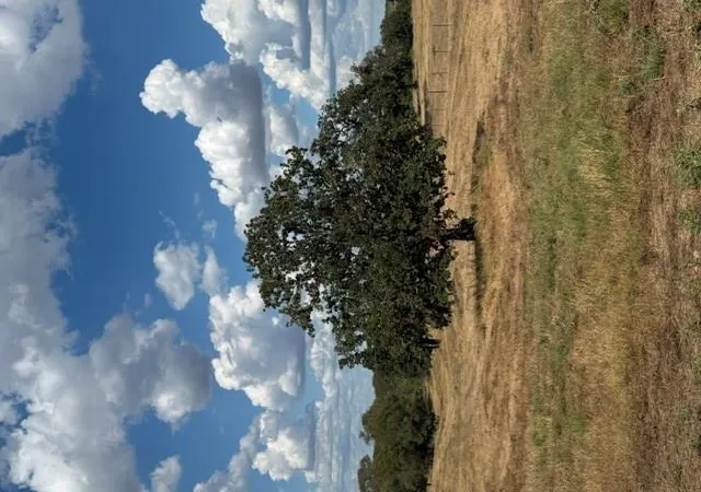Photo 3 of Land for sale at 114 Sunny Day Dr, Red Rock, TX 78662 | MLS# 2855663 | Listing updated on 2026-09-11