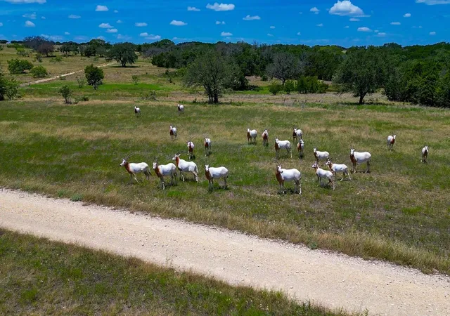 Photo 3 of Land for sale at 1480 Harmon Rd, Copperas Cove, TX 76522 | MLS# 6672757 | Listing updated on 2026-09-11