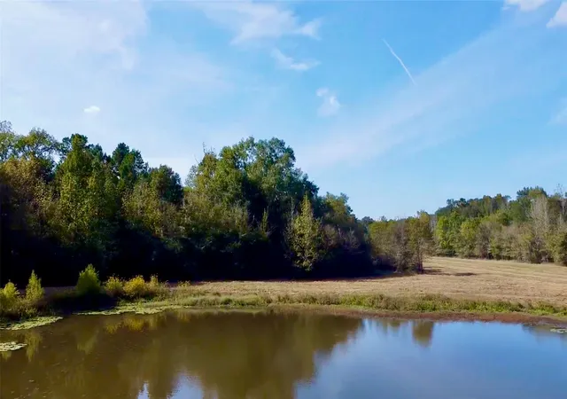 Photo 1 of Land for sale at Tbd County Rd 4025, Lovelady, TX 75851 | MLS# 9699201 | Listing updated on 2026-09-13
