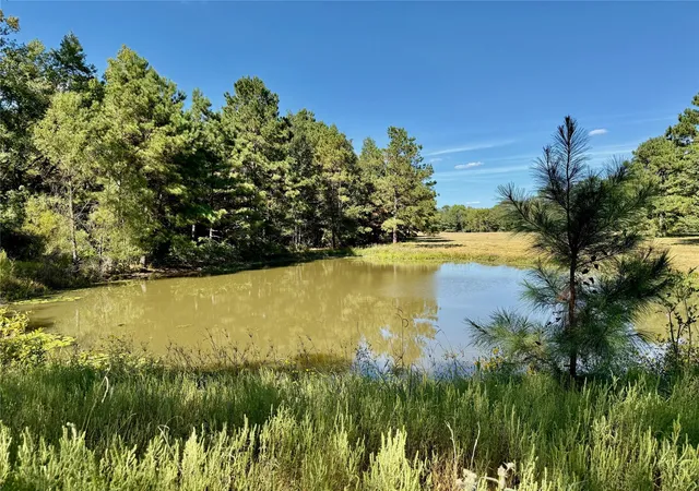 Photo 2 of Land for sale at Tbd County Rd 4025, Lovelady, TX 75851 | MLS# 9699201 | Listing updated on 2026-09-13