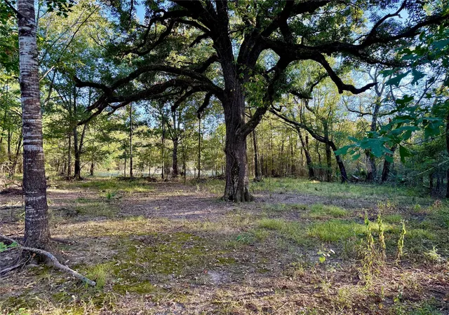 Photo 3 of Land for sale at Tbd County Rd 4025, Lovelady, TX 75851 | MLS# 9699201 | Listing updated on 2026-09-13