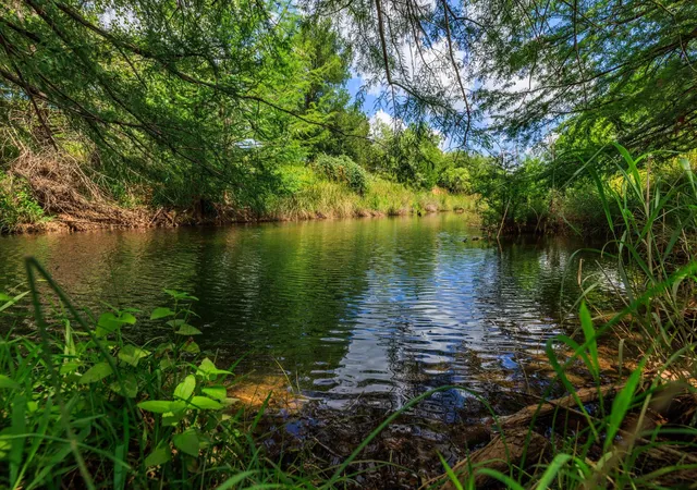 Photo 1 of Land for sale at 1670 Fm 2093, Fredericksburg, TX 78624 | MLS# 8245482 | Listing updated on 2026-09-14