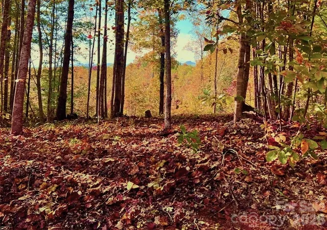 Photo 4 of Land for sale at 185 Acres, Lot 925 High Valley Way #925, Lenoir, NC 28645 | MLS# 4078004 | Listing updated on 2026-10-08