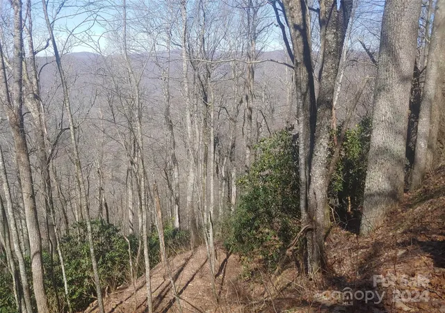 Photo 2 of Land for sale at 34 Barn Cove Rd, Clyde, NC 28721 | MLS# 4116982 | Listing updated on 2026-09-21
