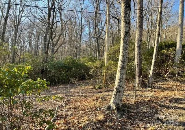 Photo 1 of Land for sale at 0 E Poplar Ln #25, Hendersonville, NC 28792 | MLS# 4170675 | Listing updated on 2026-09-12