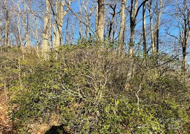 Photo 2 of Land for sale at 0 E Poplar Ln #25, Hendersonville, NC 28792 | MLS# 4170675 | Listing updated on 2026-09-12