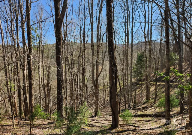Photo 2 of Land for sale at 6033 Highway 321, Sugar Grove, NC 28679 | MLS# 4244828 | Listing updated on 2026-09-11