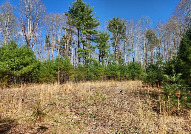 Photo 3 of Land for sale at 6033 Highway 321, Sugar Grove, NC 28679 | MLS# 4244828 | Listing updated on 2026-09-11