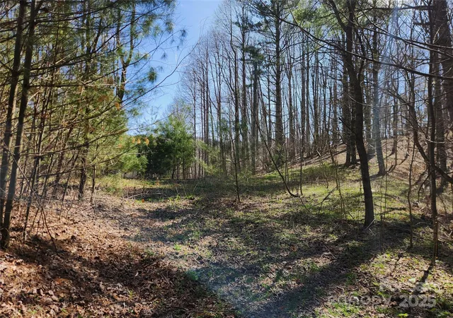 Photo 3 of Land for sale at 6033 Highway 321, Sugar Grove, NC 28679 | MLS# 4244828 | Listing updated on 2026-09-11