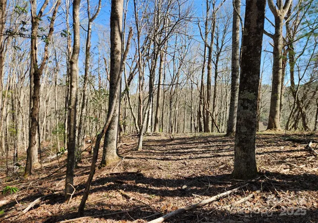 Photo 4 of Land for sale at 6033 Highway 321, Sugar Grove, NC 28679 | MLS# 4244828 | Listing updated on 2026-09-11