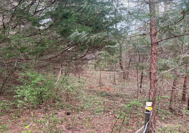 Photo 3 of Sale Pending at 11055 Graybark Rd, Midland, NC 28107 | MLS# 4245141 | Listing updated on 2026-10-08