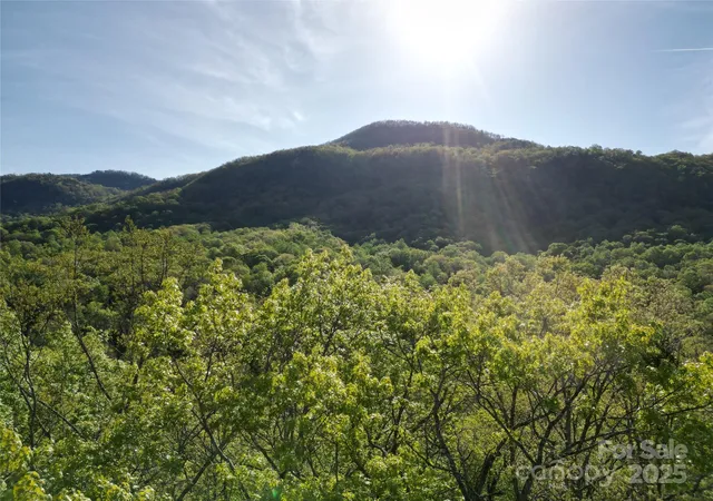 Photo 2 of Land for sale at Lot 164 Spanarkel Ln, Lake Lure, NC 28746 | MLS# 4249255 | Listing updated on 2026-09-14