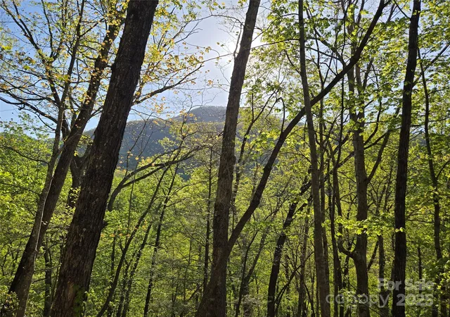 Photo 3 of Land for sale at Lot 164 Spanarkel Ln, Lake Lure, NC 28746 | MLS# 4249255 | Listing updated on 2026-09-14