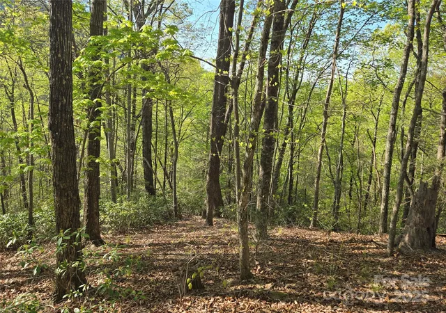 Photo 3 of Land for sale at Lot 164 Spanarkel Ln, Lake Lure, NC 28746 | MLS# 4249255 | Listing updated on 2026-09-14