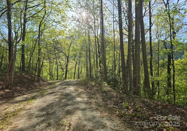 Photo 4 of Land for sale at Lot 164 Spanarkel Ln, Lake Lure, NC 28746 | MLS# 4249255 | Listing updated on 2026-09-14
