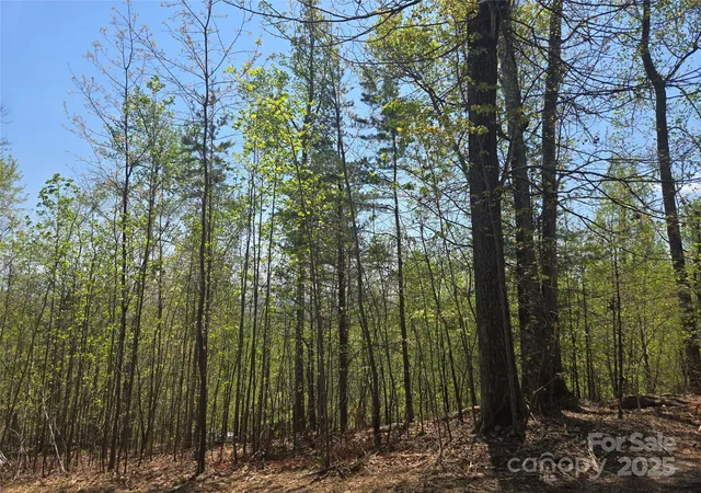 Photo 2 of Land for sale at Lot 32 High Rock Ridge, Lake Lure, NC 28746 | MLS# 4250082 | Listing updated on 2026-09-14
