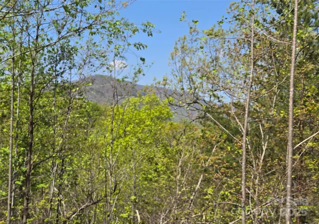 Photo 3 of Land for sale at Lot 35 High Rock Ridge, Lake Lure, NC 28746 | MLS# 4250247 | Listing updated on 2026-09-14