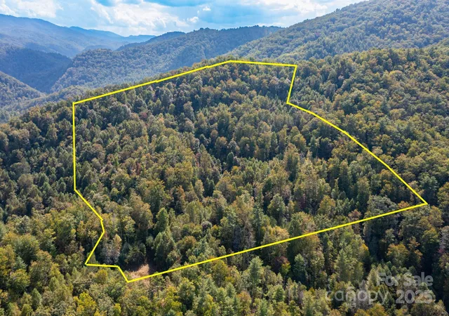Photo 2 of Land for sale at 999 Nc 209 Hwy #9, Hot Springs, NC 28743 | MLS# 4304905 | Listing updated on 2026-10-13
