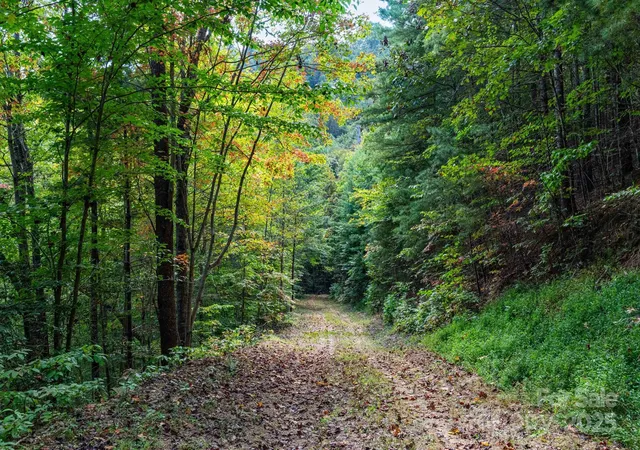 Photo 3 of Land for sale at 999 Nc 209 Hwy #9, Hot Springs, NC 28743 | MLS# 4304905 | Listing updated on 2026-10-13