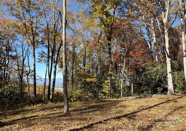 Photo 1 of Land for sale at 45 Trillium Garden Trl #Lot 29, Fletcher, NC 28732 | MLS# 4316250 | Listing updated on 2026-09-15