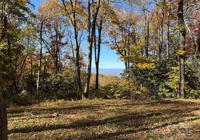 Photo 3 of Land for sale at 45 Trillium Garden Trl #Lot 29, Fletcher, NC 28732 | MLS# 4316250 | Listing updated on 2026-09-15