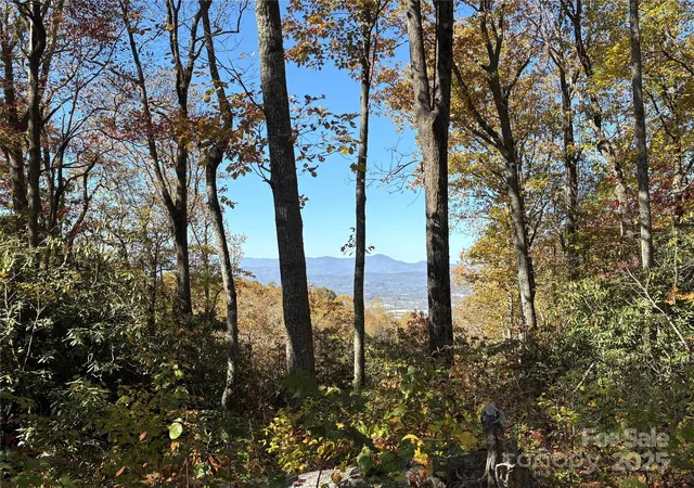 Photo 3 of Land for sale at 45 Trillium Garden Trl #Lot 29, Fletcher, NC 28732 | MLS# 4316250 | Listing updated on 2026-09-15
