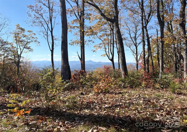 Photo 1 of Land for sale at Lot 64 Feather Stone Dr, Fletcher, NC 28732 | MLS# 4318233 | Listing updated on 2026-10-12