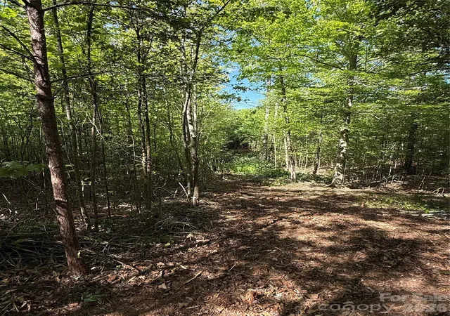 Photo 2 of Land for sale at Lot W Legacy Dr #4, Hendersonville, NC 28739 | MLS# 4326783 | Listing updated on 2026-09-11