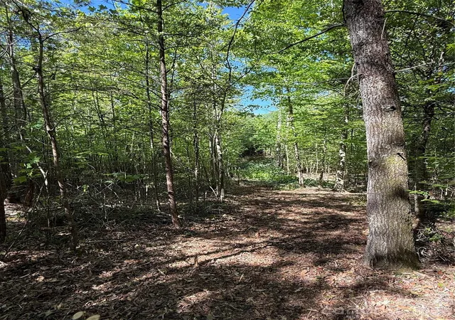 Photo 3 of Land for sale at Lot W Legacy Dr #4, Hendersonville, NC 28739 | MLS# 4326783 | Listing updated on 2026-09-11