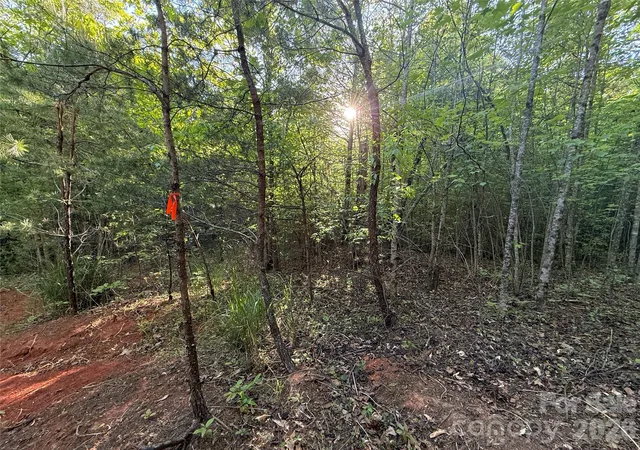 Photo 3 of Land for sale at Lot W Legacy Dr #5, Hendersonville, NC 28739 | MLS# 4326787 | Listing updated on 2026-09-11