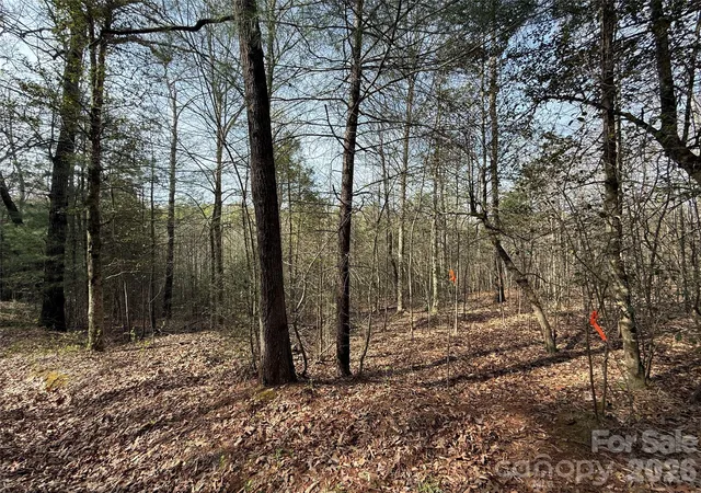 Photo 4 of Land for sale at Lot W Legacy Dr #5, Hendersonville, NC 28739 | MLS# 4326787 | Listing updated on 2026-09-11