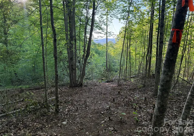 Photo 1 of Land for sale at Lot W Legacy Dr #6, Hendersonville, NC 28739 | MLS# 4326791 | Listing updated on 2026-09-11