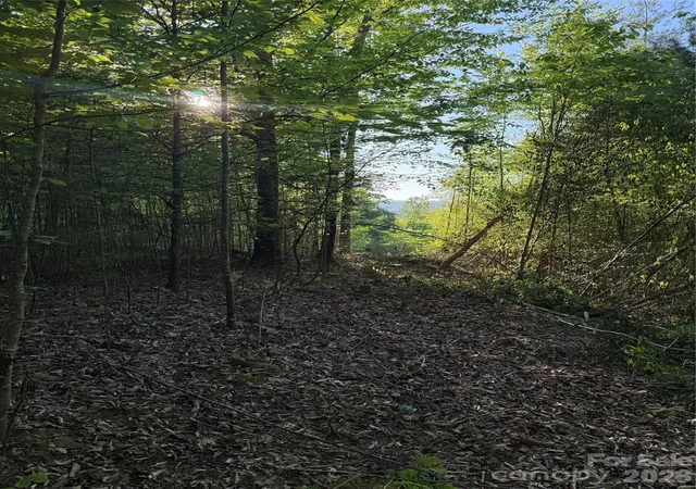Photo 2 of Land for sale at Lot W Legacy Dr #6, Hendersonville, NC 28739 | MLS# 4326791 | Listing updated on 2026-09-11