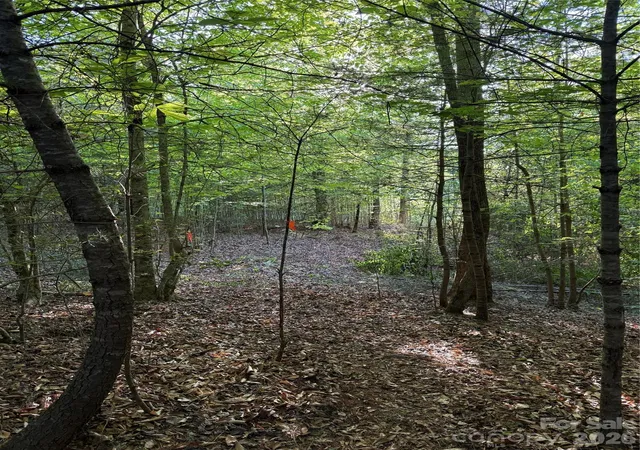 Photo 3 of Land for sale at Lot W Legacy Dr #6, Hendersonville, NC 28739 | MLS# 4326791 | Listing updated on 2026-09-11