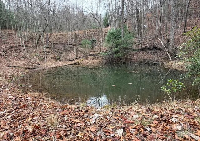 Photo 2 of Land for sale at Tbd Casey Mountain Rd #218, Purlear, NC 28665 | MLS# 4326792 | Listing updated on 2026-09-24