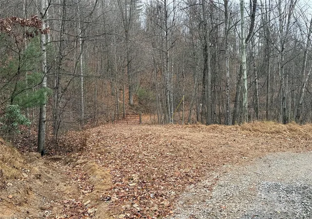 Photo 3 of Land for sale at Tbd Casey Mountain Rd #218, Purlear, NC 28665 | MLS# 4326792 | Listing updated on 2026-09-24