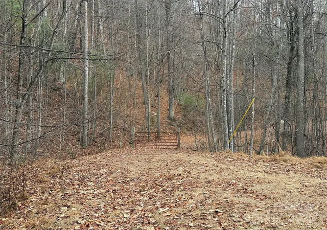 Photo 4 of Land for sale at Tbd Casey Mountain Rd #218, Purlear, NC 28665 | MLS# 4326792 | Listing updated on 2026-09-24