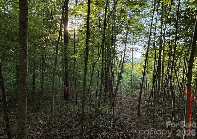 Photo 1 of Land for sale at Lot W Legacy Dr #7, Hendersonville, NC 28739 | MLS# 4326809 | Listing updated on 2026-09-11