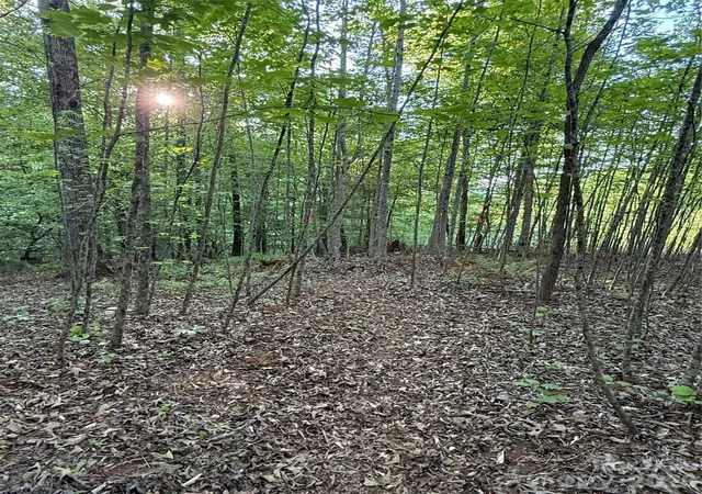 Photo 4 of Land for sale at Lot W Legacy Dr #7, Hendersonville, NC 28739 | MLS# 4326809 | Listing updated on 2026-09-11